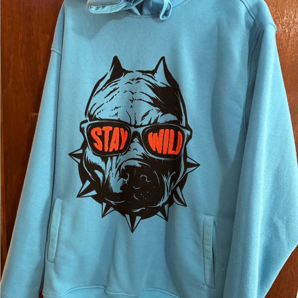 Blue Hoodie with Graphic Design